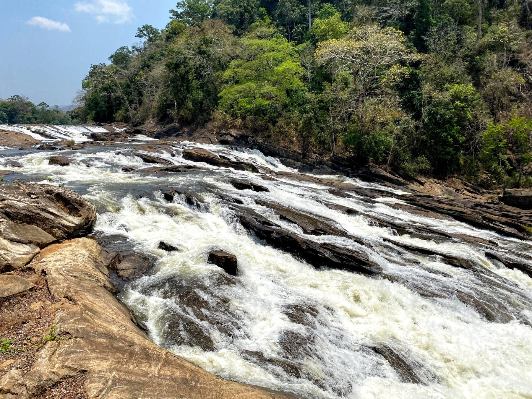 Dandeli White Water — Dandeli